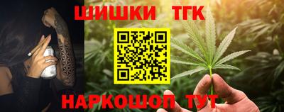 сатива Лесосибирск