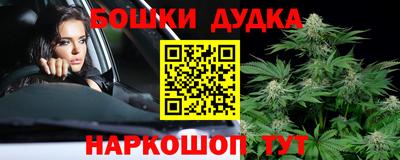 сатива Лесосибирск