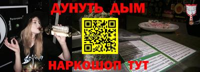 сатива Лесосибирск