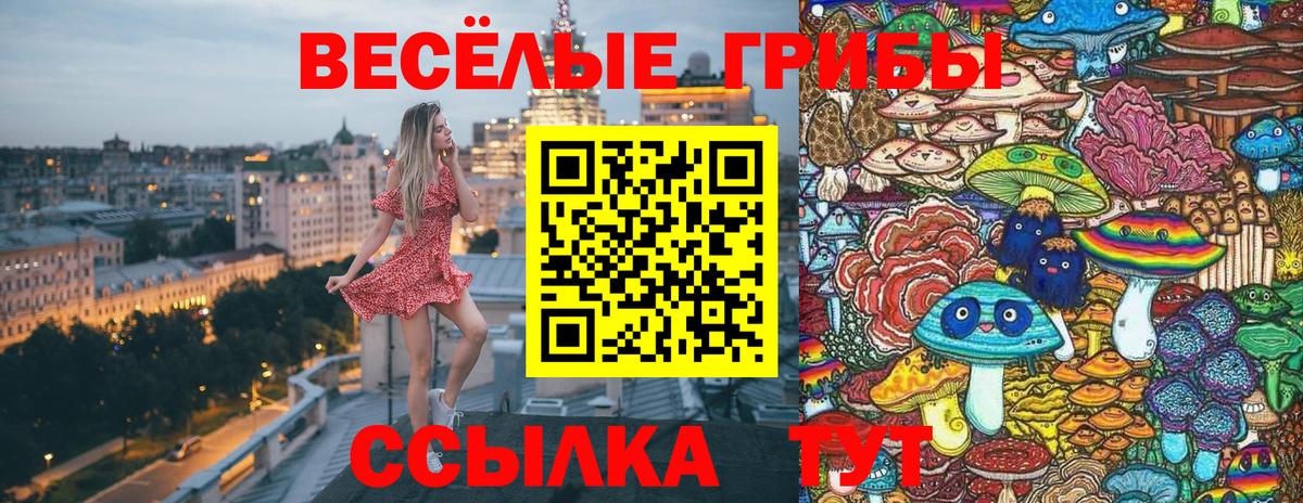Галлюциногенные грибы Psilocybine cubensis Городец