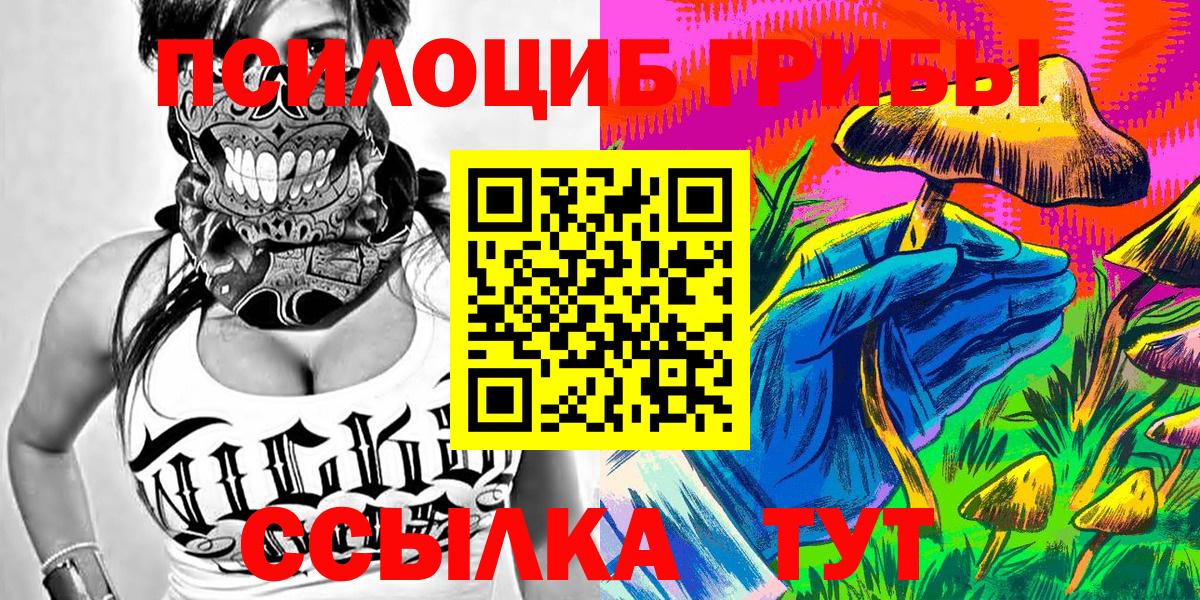 Городец  что такое наркотик  Вход с VPN  Галлюциногенные грибы прущие грибы 